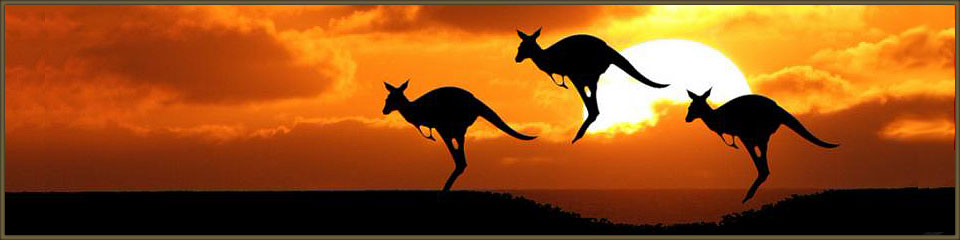 Tertiary Scholarship Fund for Australian and International Students, 2017