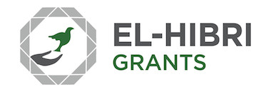 El-Hibri Foundation Scholarships in USA 2015