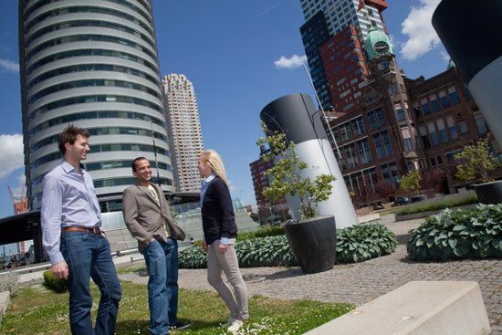 RSM Non-EEA Scholarship of Excellence, Netherlands