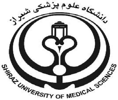 Undergraduate Scholarship Program in Shiraz, Iran
