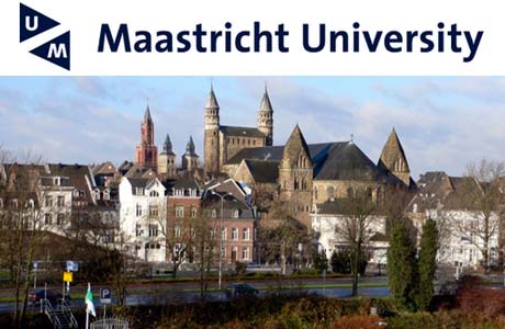 Postdoctoral Research Fellowship at WZB Berlin Social Science Center in Netherlands, 2018