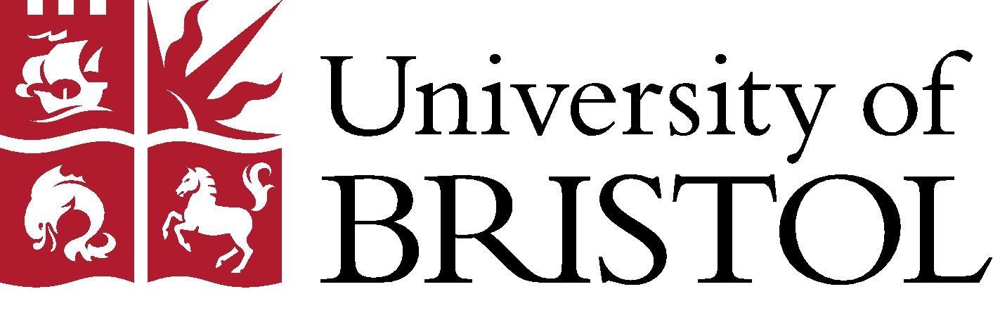 Global Accounting and Finance Scholarship, Department of Accounting and Finance, University of Bristol, 2019