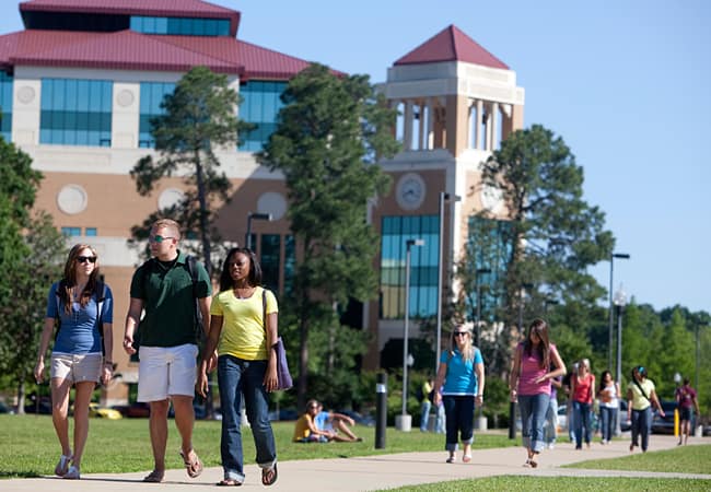 University of Louisiana Fleur-de-Lis International Scholarship in USA, 2017