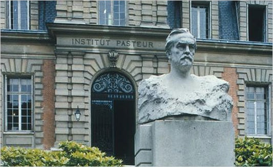 Pasteur Institute Doctoral Research Scholarship for French and Foreign Scientists in France, 2017