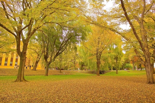 International Scholarships for Women at Hokkaido University in Japan, 2017