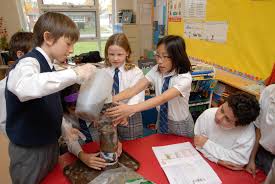TFS Grade 7 Entrance Scholarships Programme in Canada, 2018-2019
