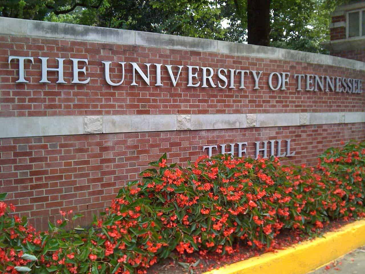 600 Tennessee Tech University Scholarships in USA, 2018-2019