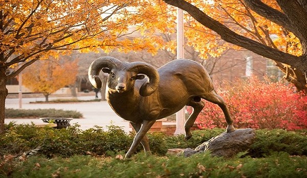 Colorado State University Scholarships in USA, 2018