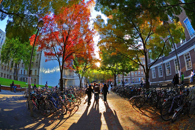 JRC Fuwaku Scholarship at University of London in UK, 2019