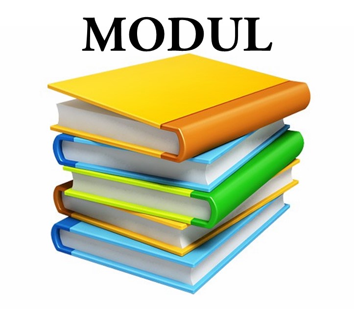 MODUL University Next Generation Scholarships in Austria, 2018