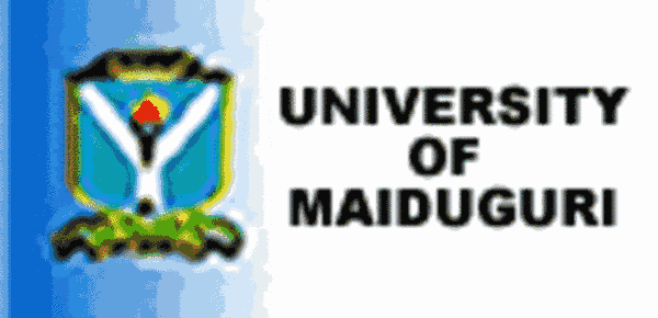 International Scholarships at University of Maiduguri in Nigeria, 2018