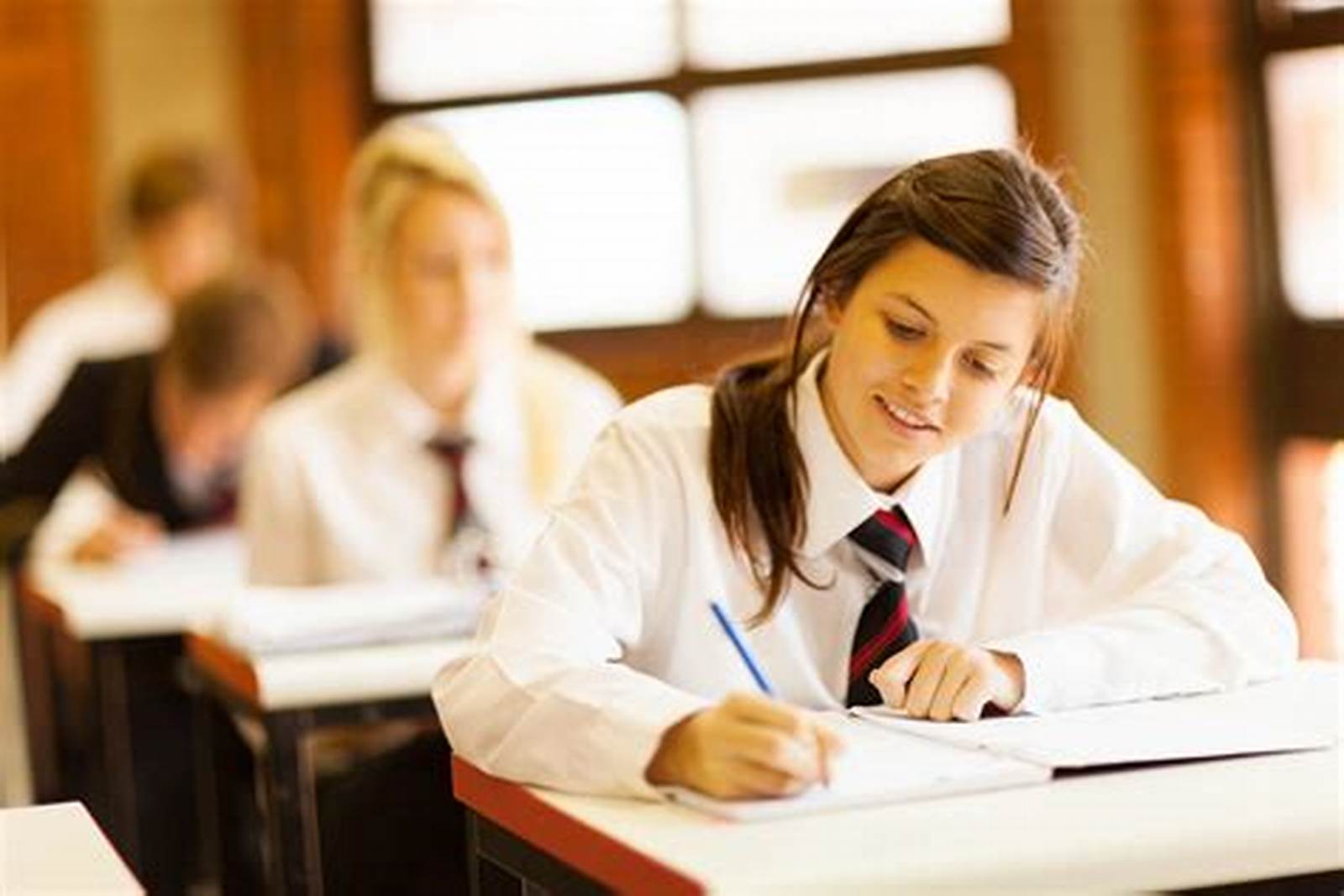 HKBU School of Business International Postgraduate Scholarship in USA, 2019
