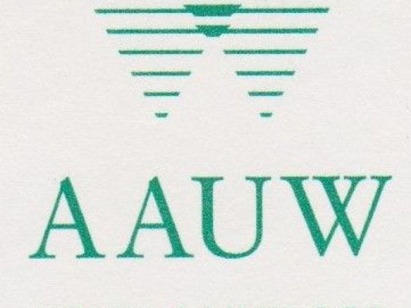 American Association Of University Women in US Scholarship, 2020