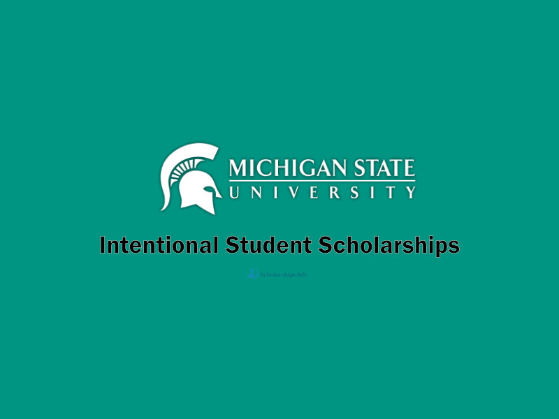 Michigan State University International Scholarships 2022