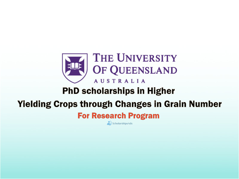 University of Queensland PhD Scholarship in Higher Yielding Crops, Australia 2021-22