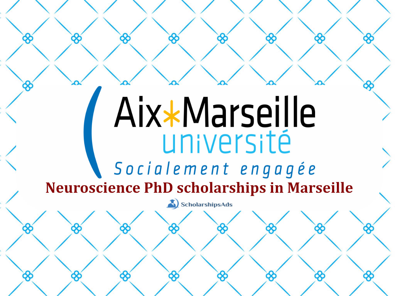 Neuroscience PhD scholarships in Marseille, France