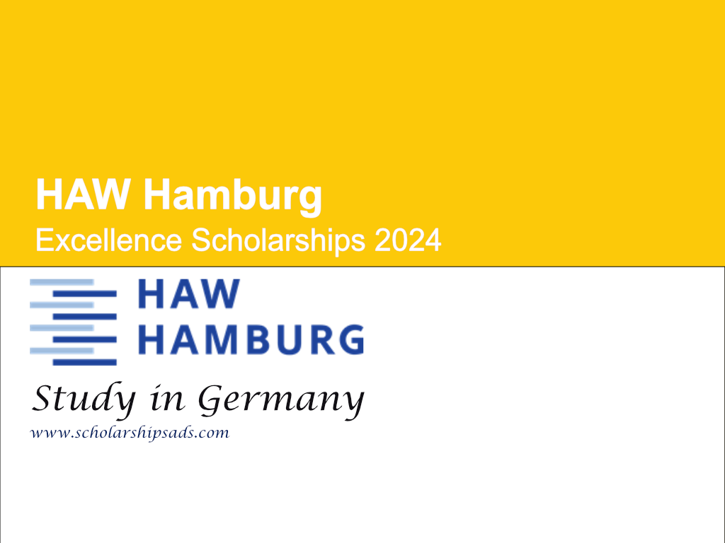 HAW Hamburg Excellence Scholarships 2024, Germany.
