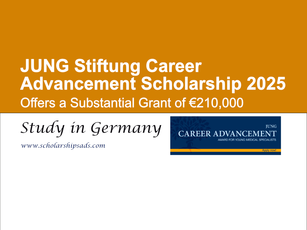 JUNG Stiftung Germany Career Advancement Scholarship 2025