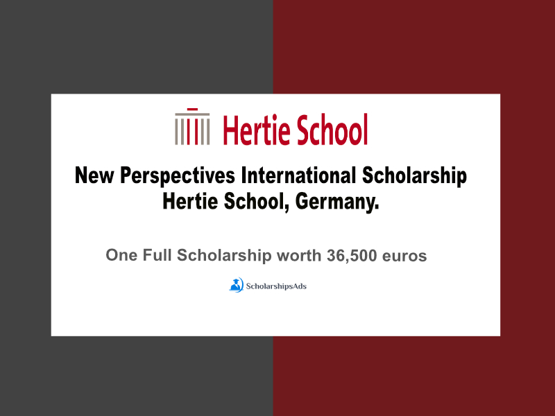 New Perspectives International Scholarship, Hertie School Germany.