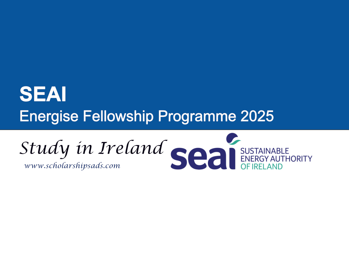 SEAI Energise Fellowship Programme 2025 in Ireland