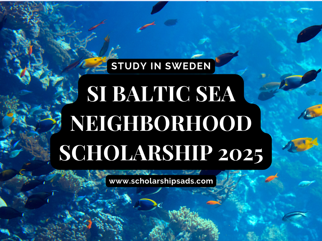 SI Baltic Sea Neighbourhood Scholarship Propgramme 2024 in Sweden