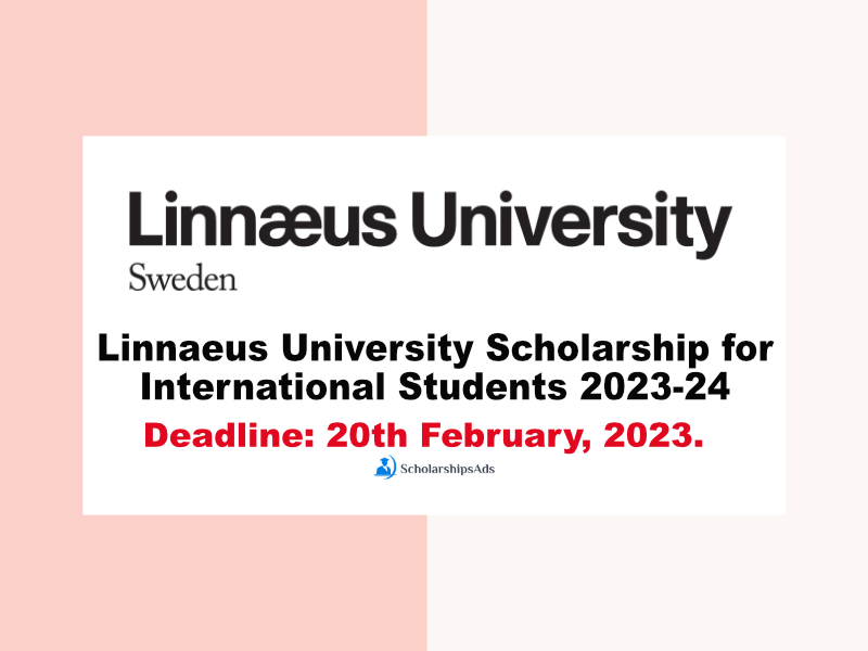 Linnaeus University Scholarship 2023-24