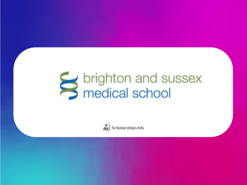 PhD Scholarships at Brighton and Sussex Medical School 2022