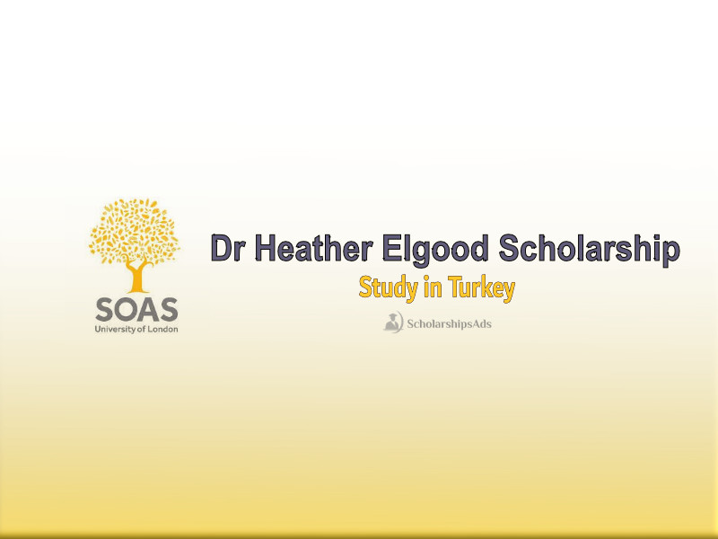 Dr Heather Elgood Scholarship University of London 2022