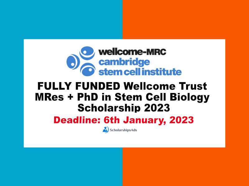 Wellcome Trust MRes + PhD in Stem Cell Biology Scholarship 2023 (Fully funded)
