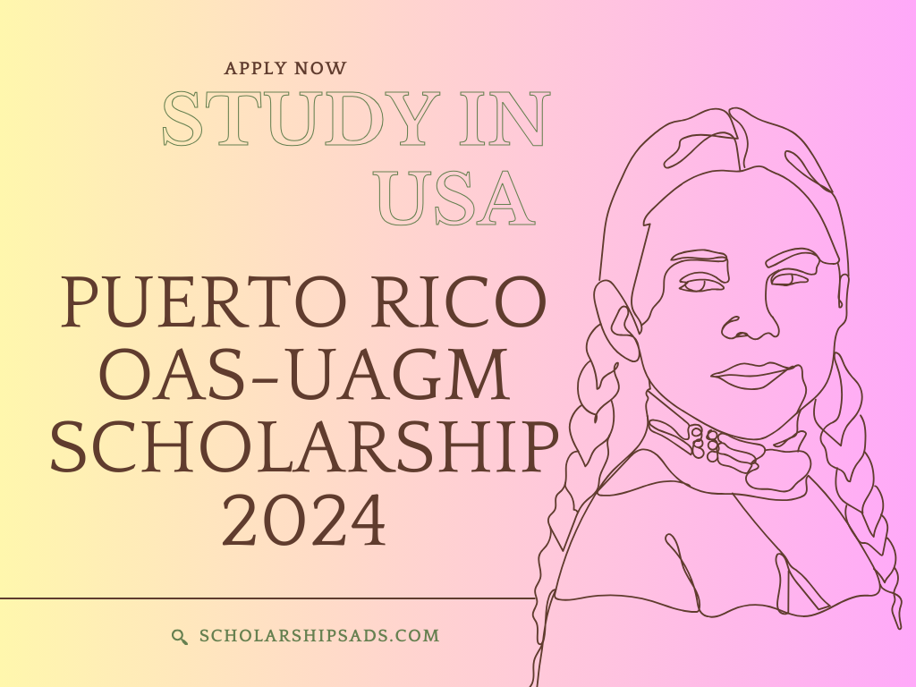 Puerto Rico OAS-UAGM Scholarship 2024 in USA