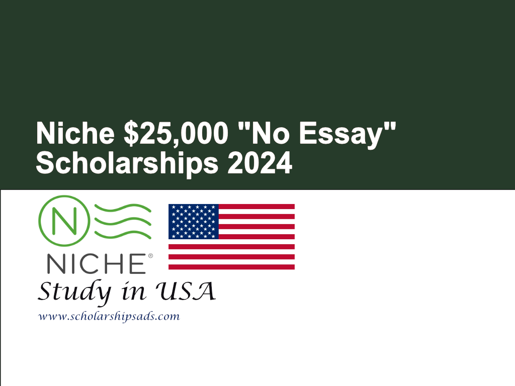 Niche $25,000 No Essay Scholarships 2024 in USA