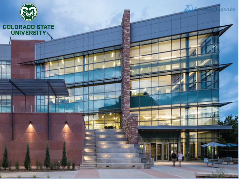 CSU Automatic Merit-Based Scholarship Awards, USA 2022-23
