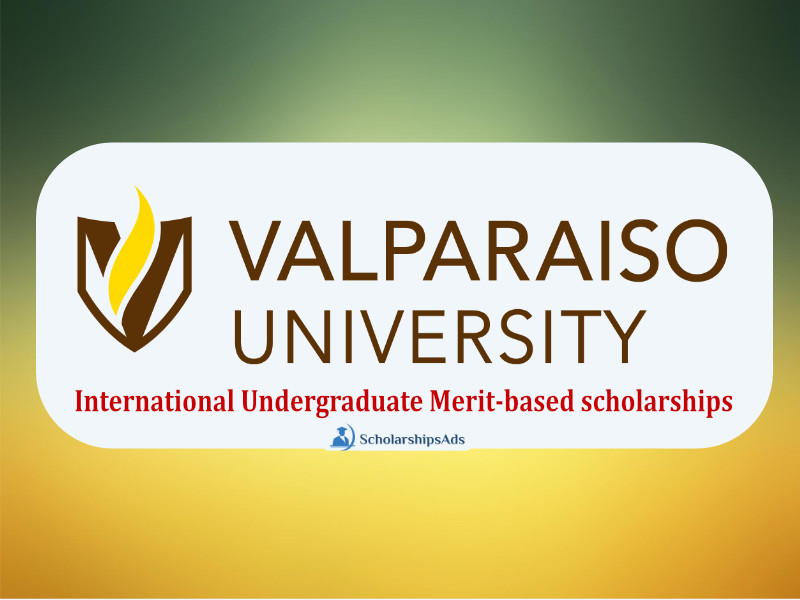 International Undergraduate Merit-based scholarships 2022
