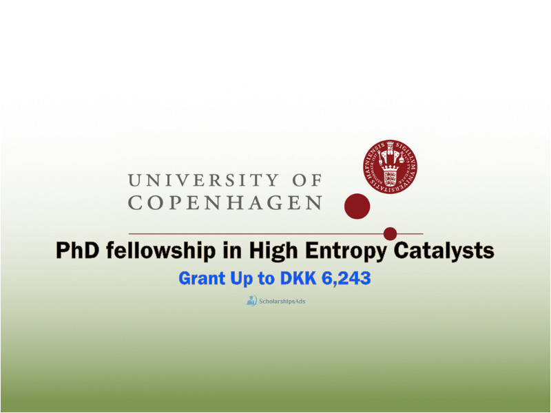 University of Copenhagen PhD Fellowships in High Entropy Catalysts, Denmark 2021-22