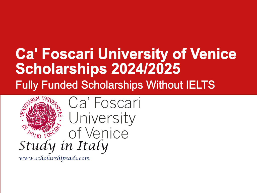 Ca' Foscari University of Venice Scholarships 2024/2025 in Italy (Fully Funded)