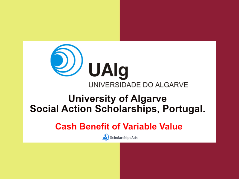 University of Algarve Social Action Scholarships, Portugal.