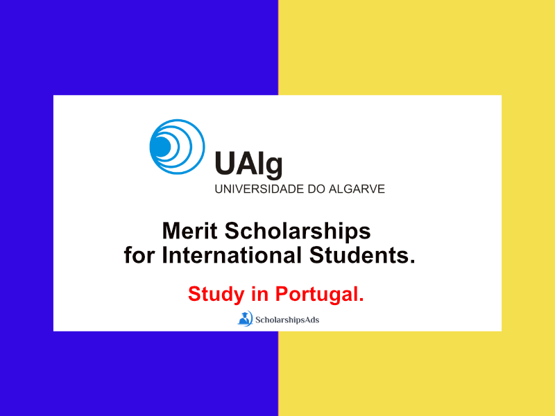 University of Algarve Merit Scholarships for International Students, Portugal.