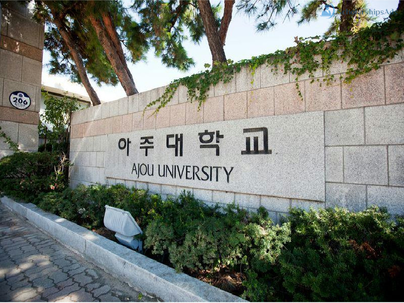 Foreign Freshman Scholarships at Ajou University, South Korea 2022-23