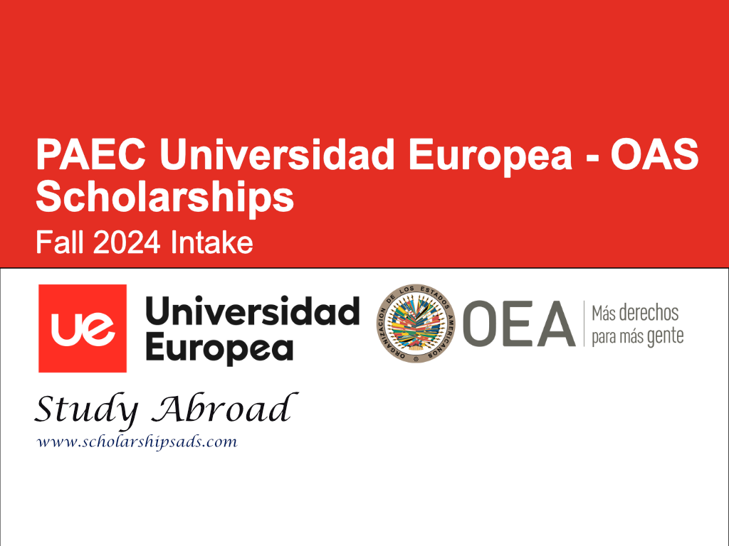 PAEC Universidad Europea - OAS Scholarships Fall 2024