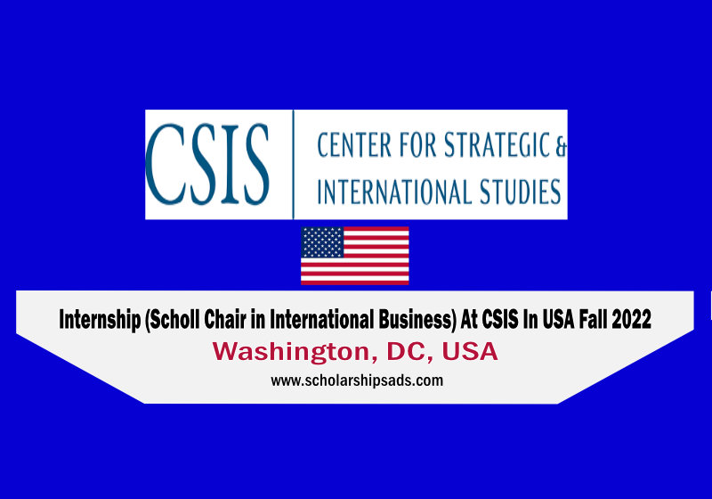 CSIS USA Internships 2023 - Scholl Chair in International Business