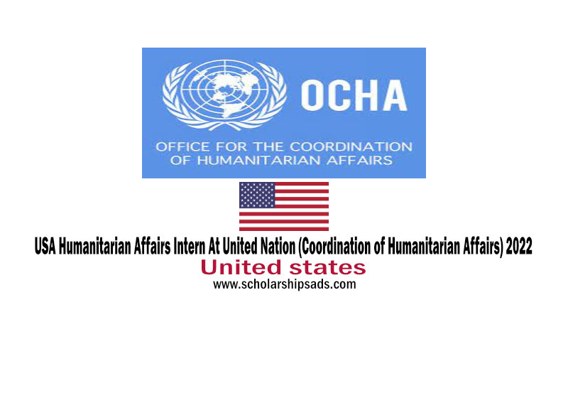 Humanitarian Affairs Intern at United Nation USA 2022 (Coordination of Humanitarian Affairs)