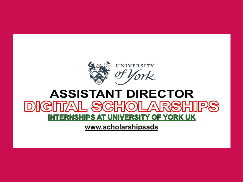 University of York Jobs - AD Digital Scholarships 2023